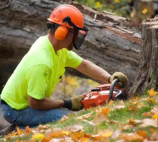 tree services Ozark